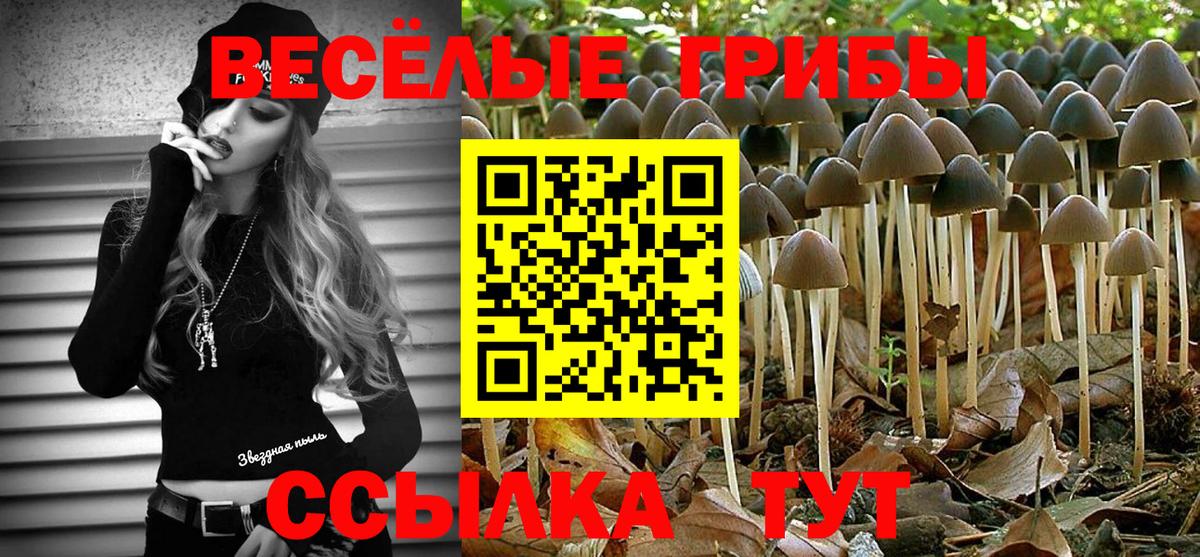 Галлюциногенные грибы Psilocybine cubensis  Псилоцибиновые грибы Psilocybe  Елабуга  Вход с VPN 